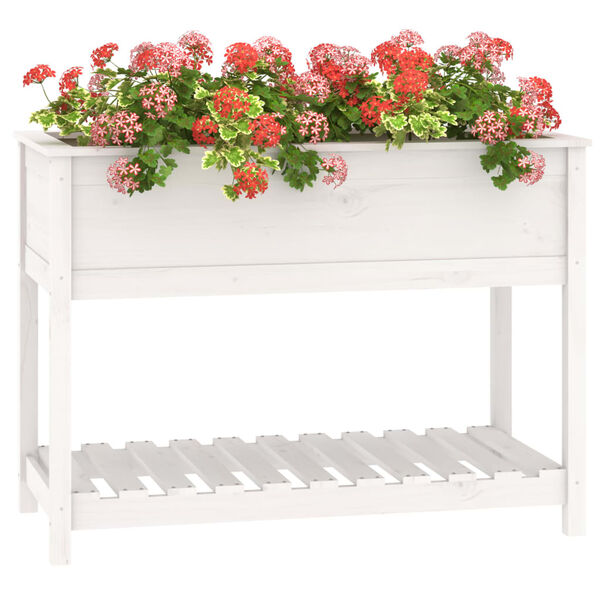 vidaXL Vaso/floreira com prateleira 111,5x54x81 cm pinho maciço branco