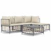 vidaXL 4 pcs conjunto lounge de jardim c/ almofad&otilde;es vime PE antracite