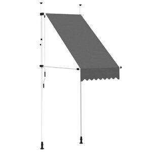 vidaXL Toldo retr&aacute;til manual 100 cm antracite