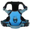 vidaXL Peitoral para c&atilde;es com faixas refletoras ajust&aacute;vel XL azul