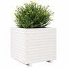 vidaXL Vaso/floreira de jardim 50x50x49,5 cm pinho maciço branco