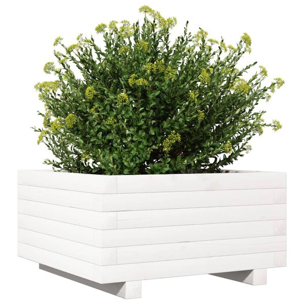 vidaXL Vaso/floreira de jardim 50x50x26,5 cm pinho maci&ccedil;o branco