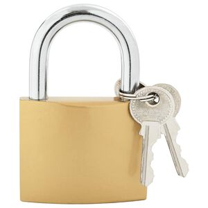 vidaXL U Lock com Chaves 50 unid. Lat&atilde;o Ferro