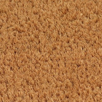 vidaXL Tapetes porta 5 pcs 40x60 cm fibra de coco tufada natural