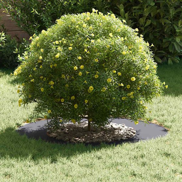 vidaXL adequado para Anel de &Aacute;rvore Plano Antracite &Oslash;40 / 70 cm A&ccedil;o