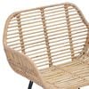 vidaXL Cadeira de jantar 2 pcs Natural 55 x 50 x 74 cm Rattan e Ferro