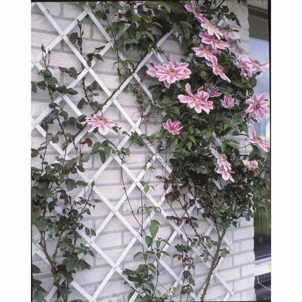 Nature Treli&ccedil;a de jardim 100x200 cm PVC branco 6040703