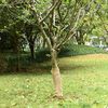 Imagem em miniatura do produto 2 de 7