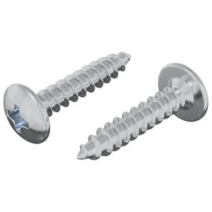 vidaXL Prego Autoperfurante 2 pcs Revestido de zinco 4 x 20 mm A&ccedil;o