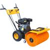 vidaXL Varredor multifuncional motor a gasolina 6,5 CV
