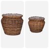 vidaXL Cesta de Plantador 2 pcs Castanho Rattan Lacak