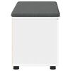 vidaXL Banco de Hall com almofada com porta Branco 80 x 46 x 46 cm