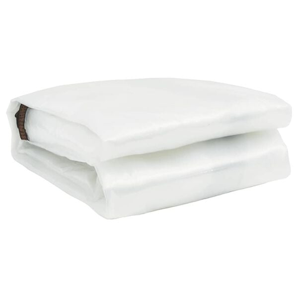 vidaXL Encerado transparente com ilh&oacute;s 6x10 m Polietileno