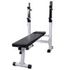 vidaXL Banco de muscula&ccedil;&atilde;o para exerc&iacute;cios de peso