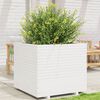 vidaXL Vaso/floreira de jardim 80x80x72 cm pinho maciço branco