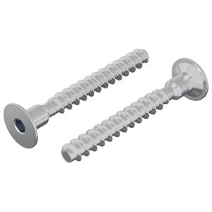 vidaXL Parafuso 2 pcs Revestido de zinco 5 x 40 mm Ferro