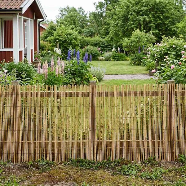 A apresentar a imagem do produto 2 de 7