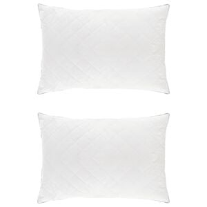 vidaXL Almofada FULDA 2 unid. 30 x 50 cm 100% Plumas de Ganso e penas