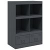vidaXL Aparador alto 67x39x95 cm a&ccedil;o antracite