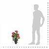 Imagem em miniatura do produto 3 de 3