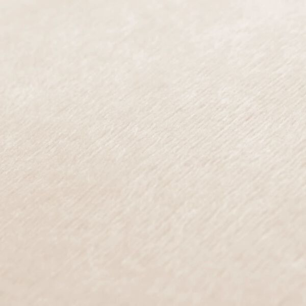 vidaXL Conjunto de 2 almofadas 40x60 cm tecido branco p&aacute;lido