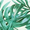 Imagem em miniatura do produto 8 de 10