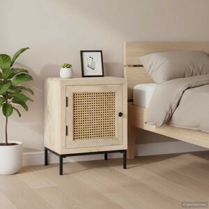 vidaXL Mesa de cabeceira 40x30x50cm mangueira maci&ccedil;a/palhinha natural