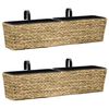 vidaXL Floreiras de pendurar 2 pcs jacinto de &aacute;gua