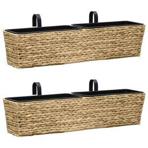 vidaXL Floreiras de pendurar 2 pcs jacinto de &aacute;gua