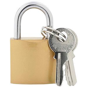 vidaXL U Lock com Chaves 12 unid. Lat&atilde;o Ferro