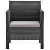 vidaXL Cadeira de jardim com almofada antracite 63x65x76 cm PP Rattan