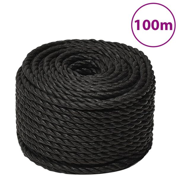 vidaXL Corda de trabalho 10 mm 100 m poliéster preto