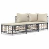 vidaXL 3 pcs conjunto lounge de jardim c/ almofad&otilde;es vime PE antracite