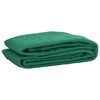 vidaXL Rede de reboque 2,5x4 m PEAD verde
