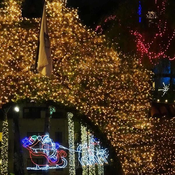 vidaXL Rede de LED Verde Escuro