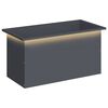vidaXL Floreira de jardim com LED Antracite 40 x 80 x 40 cm A&ccedil;o