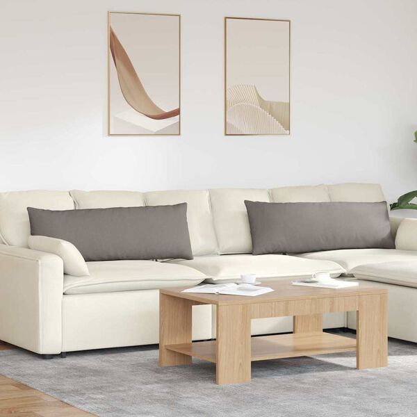 vidaXL Travesseiros de Sof&aacute; 2 pcs Cinzento-acastanhado 120 x 40 cm