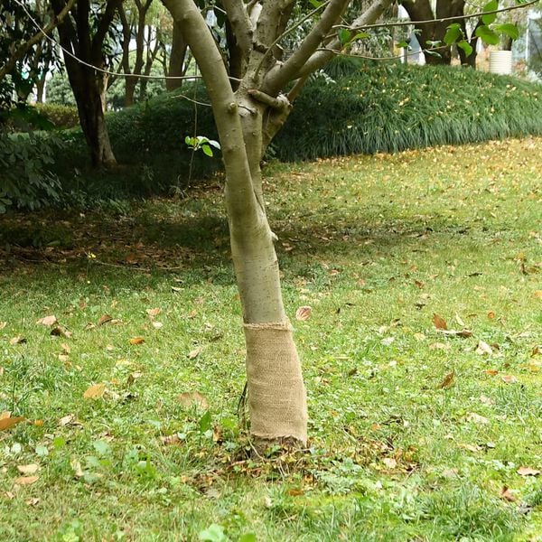 A apresentar a imagem do produto 1 de 5