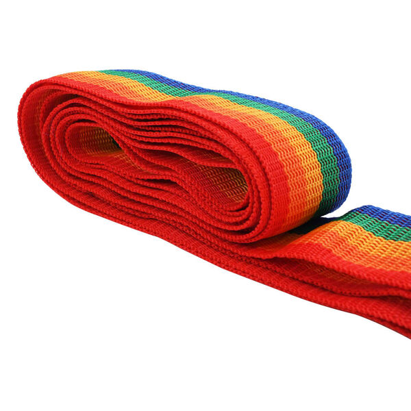 vidaXL Cinto para mala 4,2 m