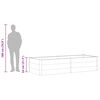 vidaXL Canteiro elevado de jardim 250x100x54 cm WPC cinzento