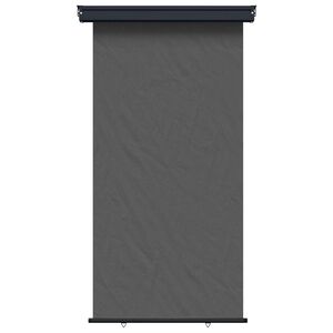 vidaXL Toldo Lateral de Varanda 117 x 250 cm