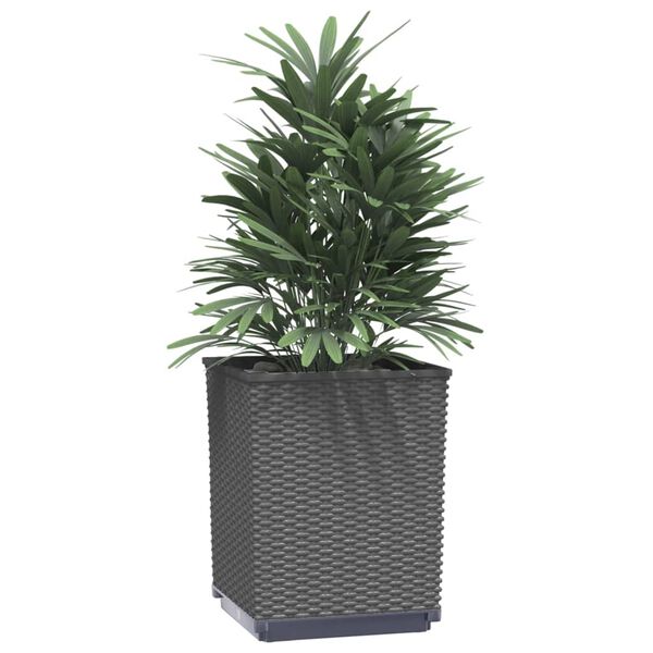 A apresentar a imagem do produto 3 de 8