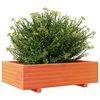 vidaXL Vaso/floreira de jardim 90x60x26,5 cm pinho maci&ccedil;o castanho-mel