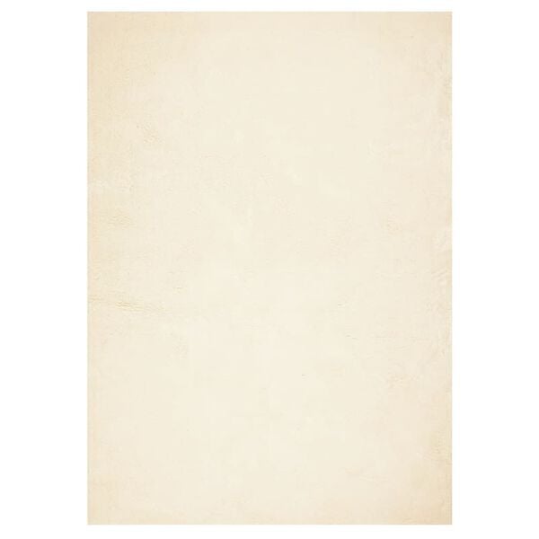 vidaXL Tapete pelo curto macio e lav&aacute;vel HUARTE 240x340 cm cor creme