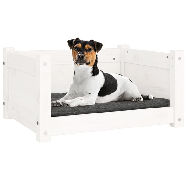 vidaXL Cama para cães branca 55,5x45,5x28 cm madeira de pinho maciça