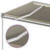 vidaXL Toldo retr&aacute;til manual com LED 6x3 m cor creme