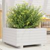vidaXL Vaso/floreira de jardim 50x50x26,5 cm pinho maci&ccedil;o branco