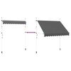 vidaXL Toldo retrátil manual 250 cm antracite