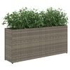 vidaXL Floreira de jardim com 2 vasos 2pcs 90x20x40cm vime PE cinzento