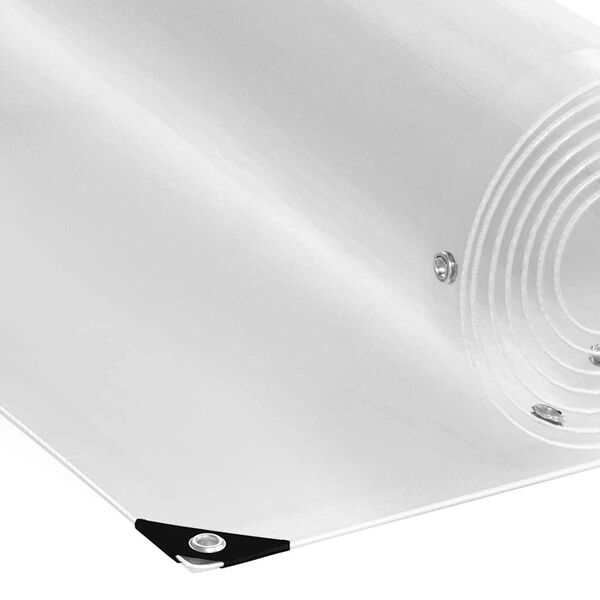 vidaXL Encerado transparente com ilh&oacute;s 2x3 m PVC